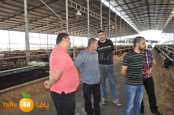 3ojojl shamal (5).JPG